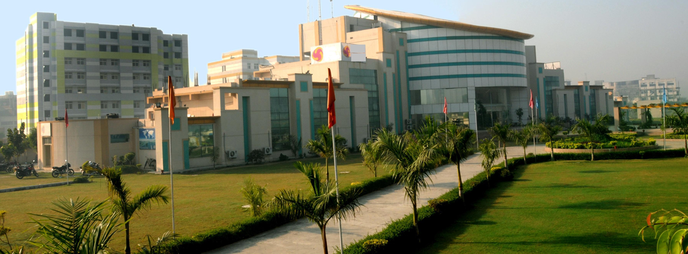 Delhi Technical Campus Greater Noida